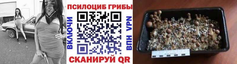 Галлюциногенные грибы прущие грибы  Катайск 